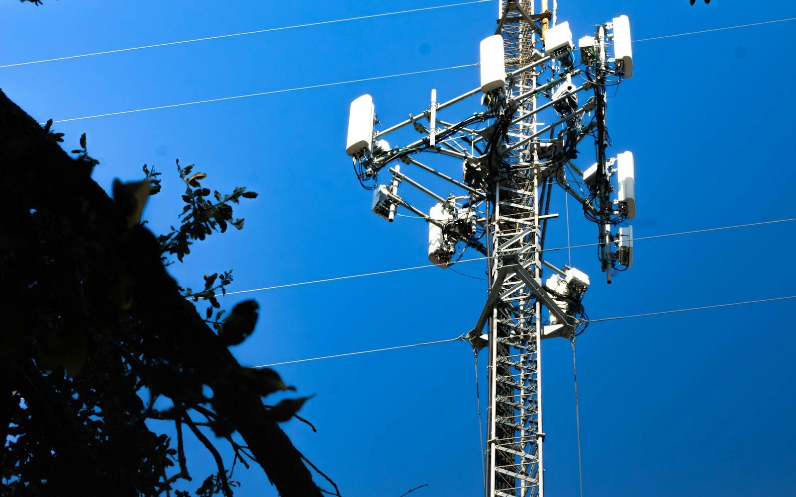 Mobile network antennas on a mast