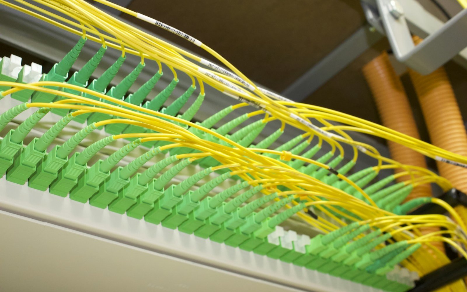 Fibre patch cords terminated in a patch panel