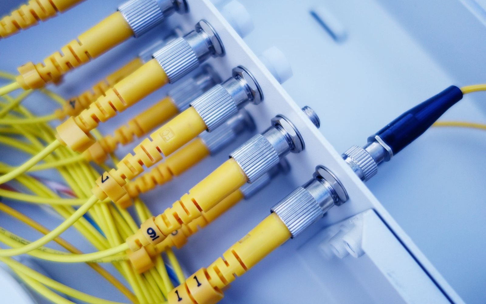 Fibre connectors entering a splice and distribution enclosure